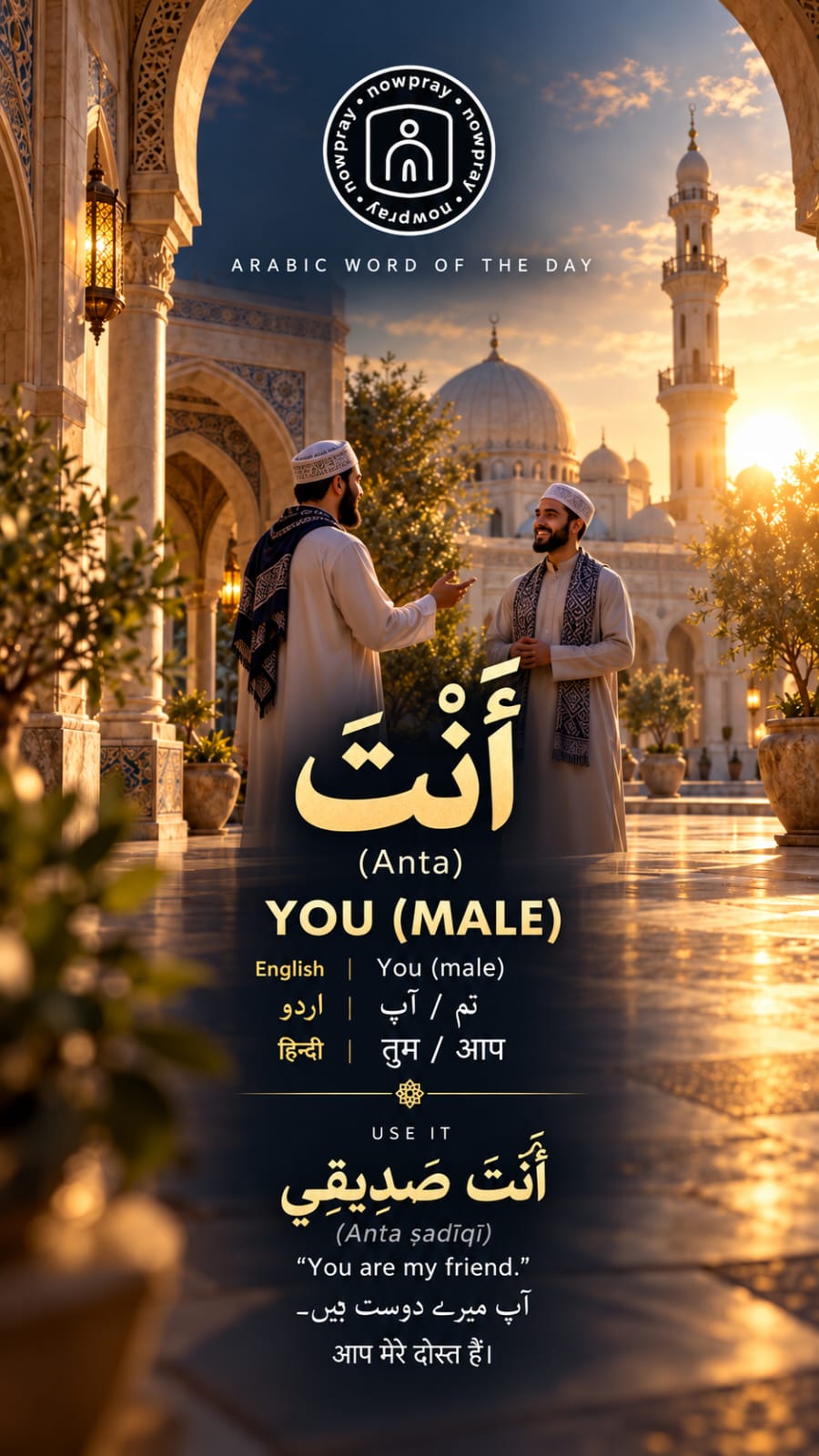 Arabic word of the day: Anta